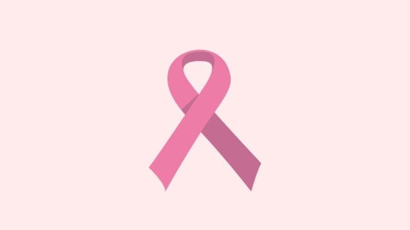 Vignette Octobre Rose 2024
